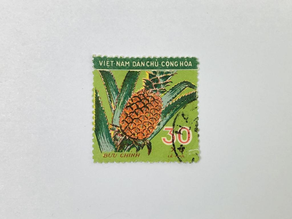 Местные фрукты. Ананас. Флора. Вьетнам. 1959. Михель: VN 112. Гашен