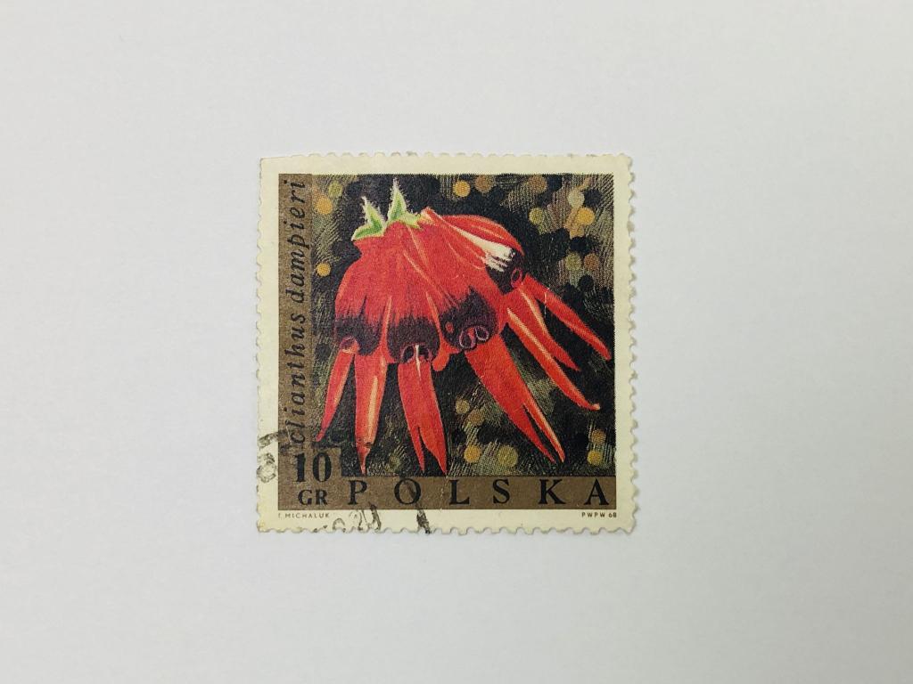 Экзотические цветы. Свайнсона прекрасная. Флора. Польша. 1968. Михель: PL 1836. Гашен