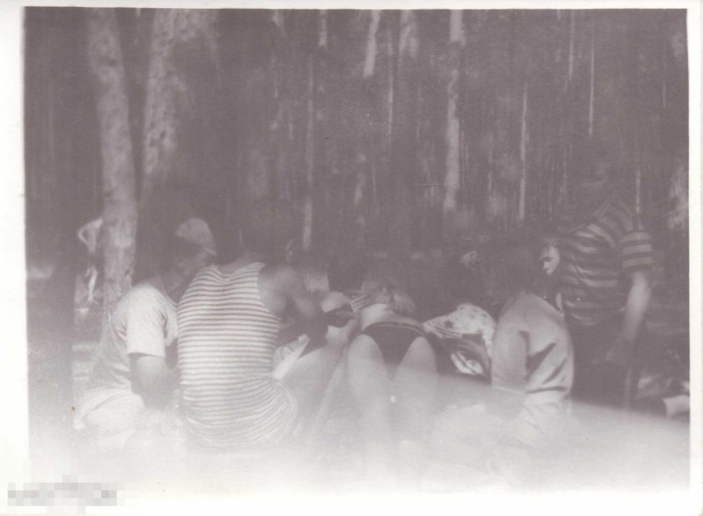 Сценка на пикнике в березовом лесу. 1970-80-е гг.