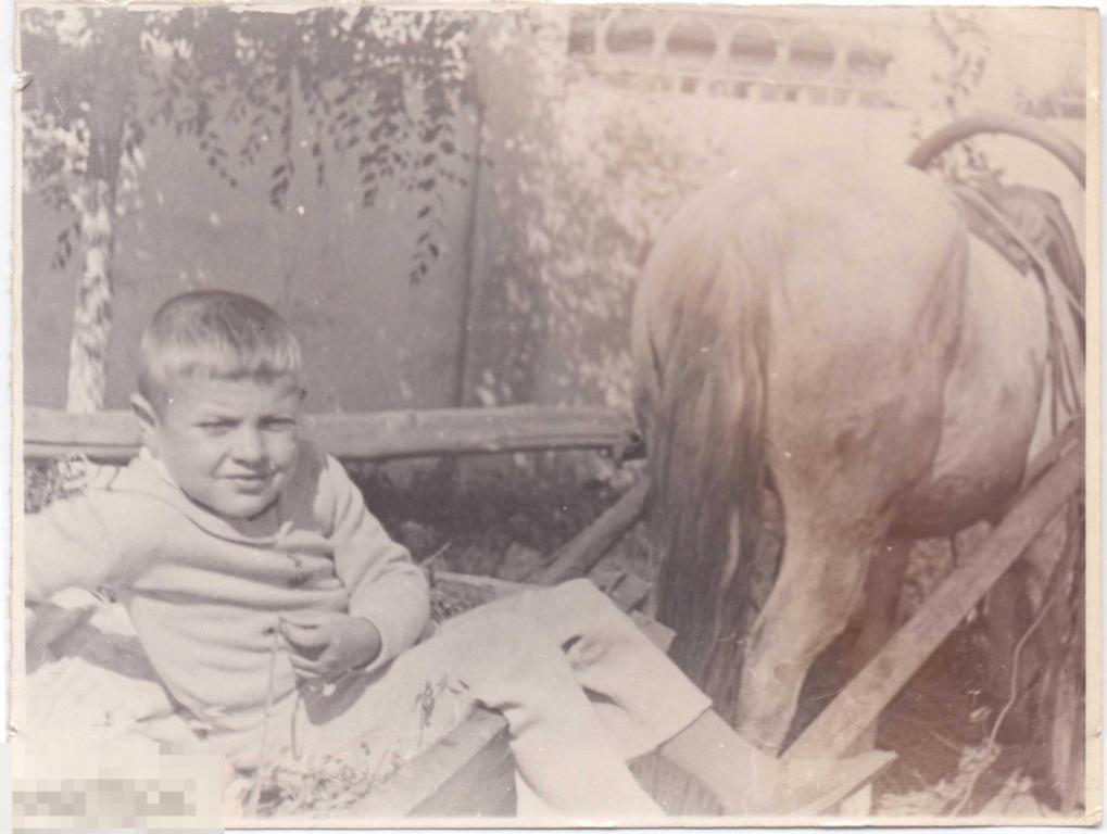 Маленький мальчик на телеге, запряженной лошадью. 1960-е гг.