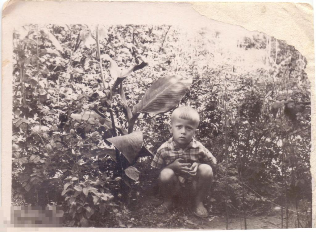 Маленький мальчик сидит в саду. 1960-е гг.