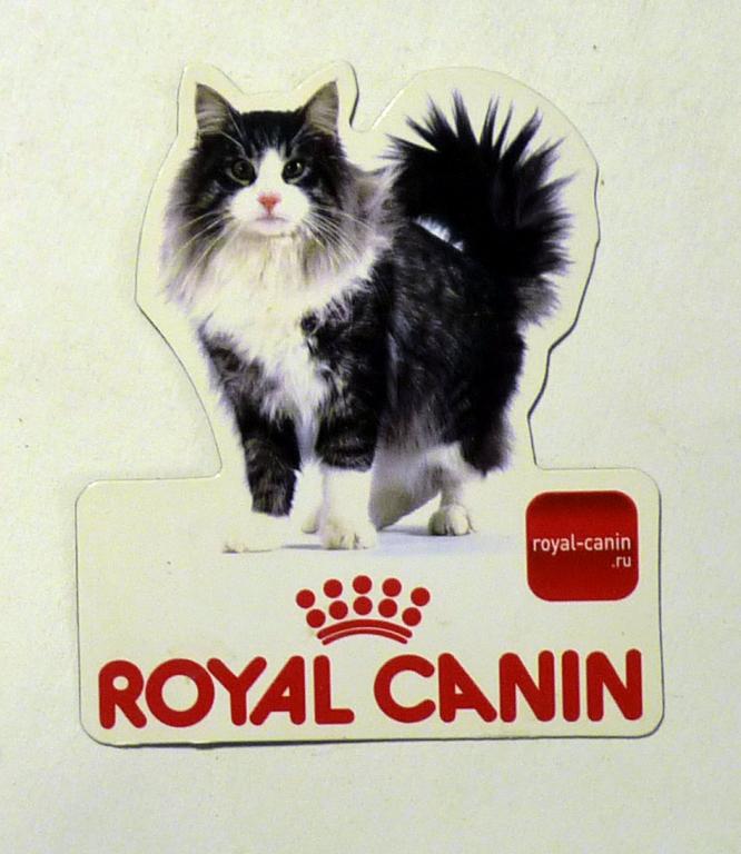Магнит на холодильник Кошка кот Royal Canin