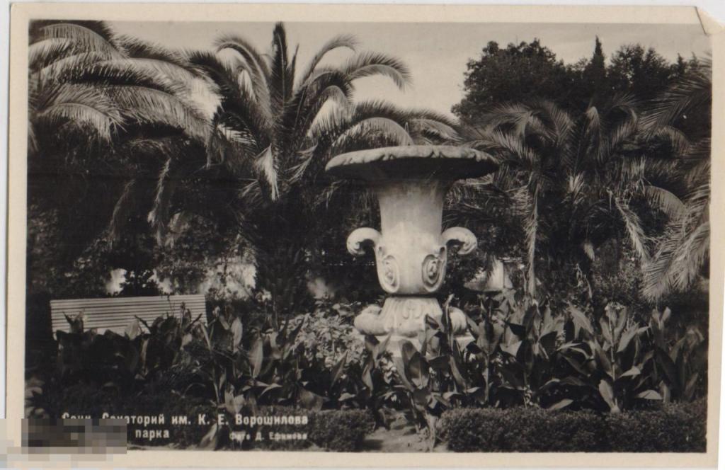Сочи. Санаторий им. К.Е. Ворошилова. Уголок парка. 1952 г.