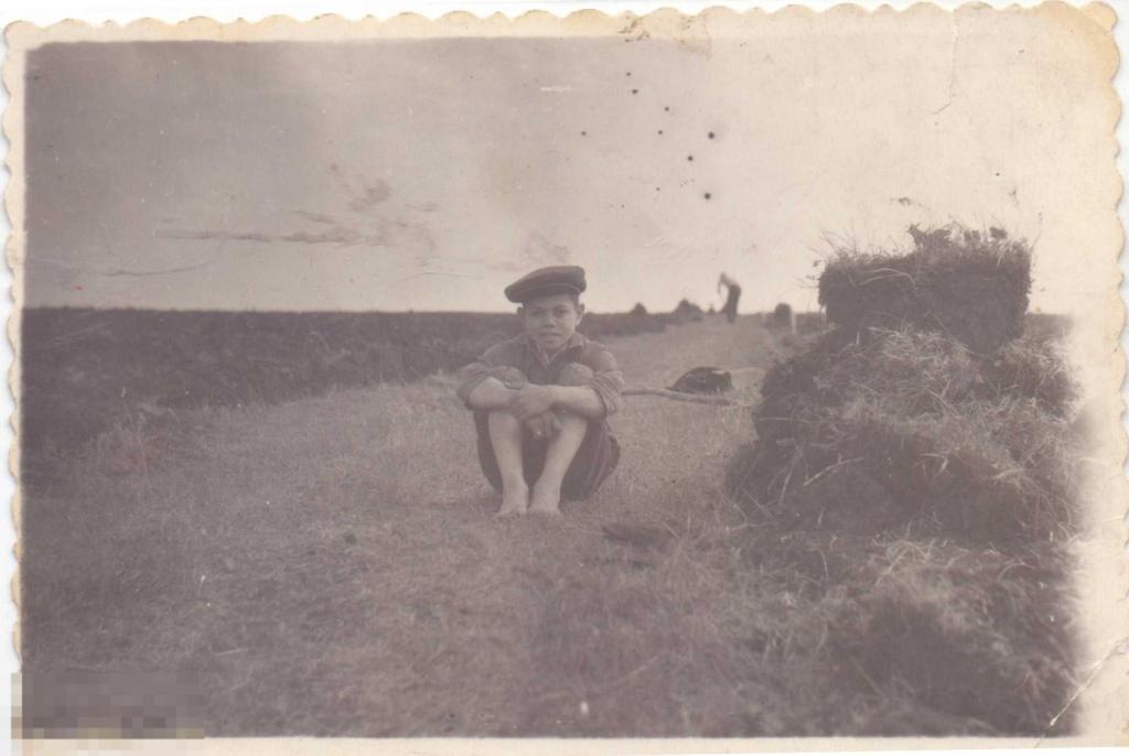 Маленький мальчик сидит на поле, Вова Лорман. 1960-е гг. 