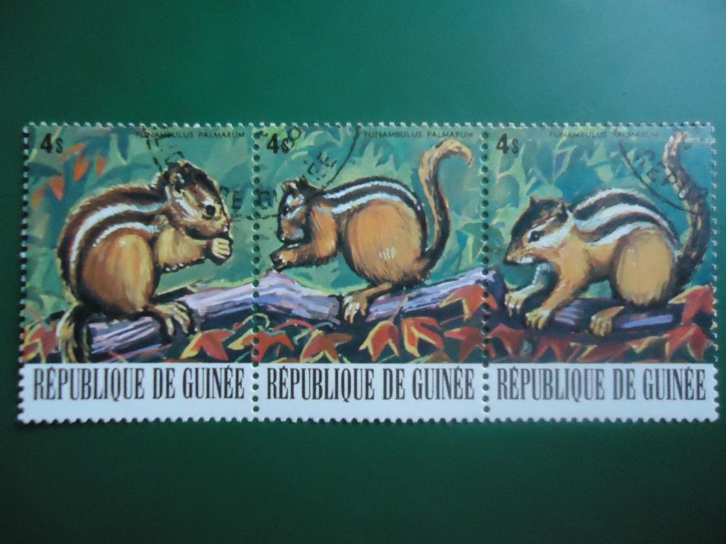 1977 г.  Гвинея  фауна  гаш. с клеем.