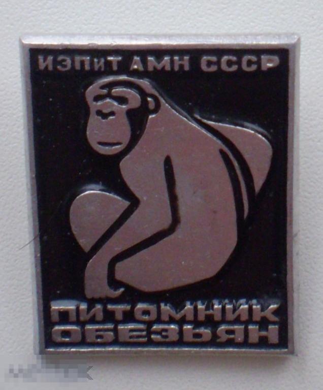 ИЭПиТ АМН СССР. Питомник обезьян. Без булавки