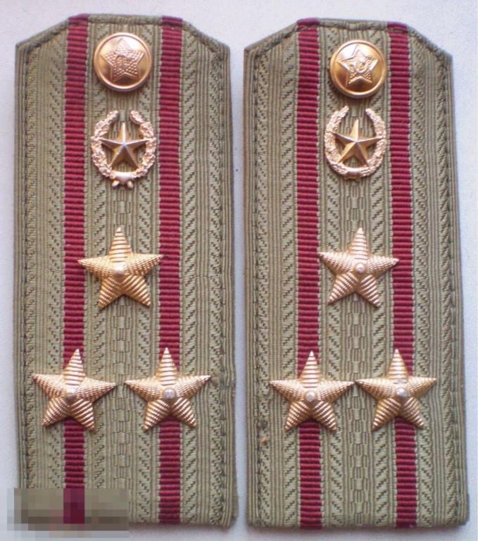 Погоны полковника на китель или рубашку, общевойсковые эмблемы ВС СССР