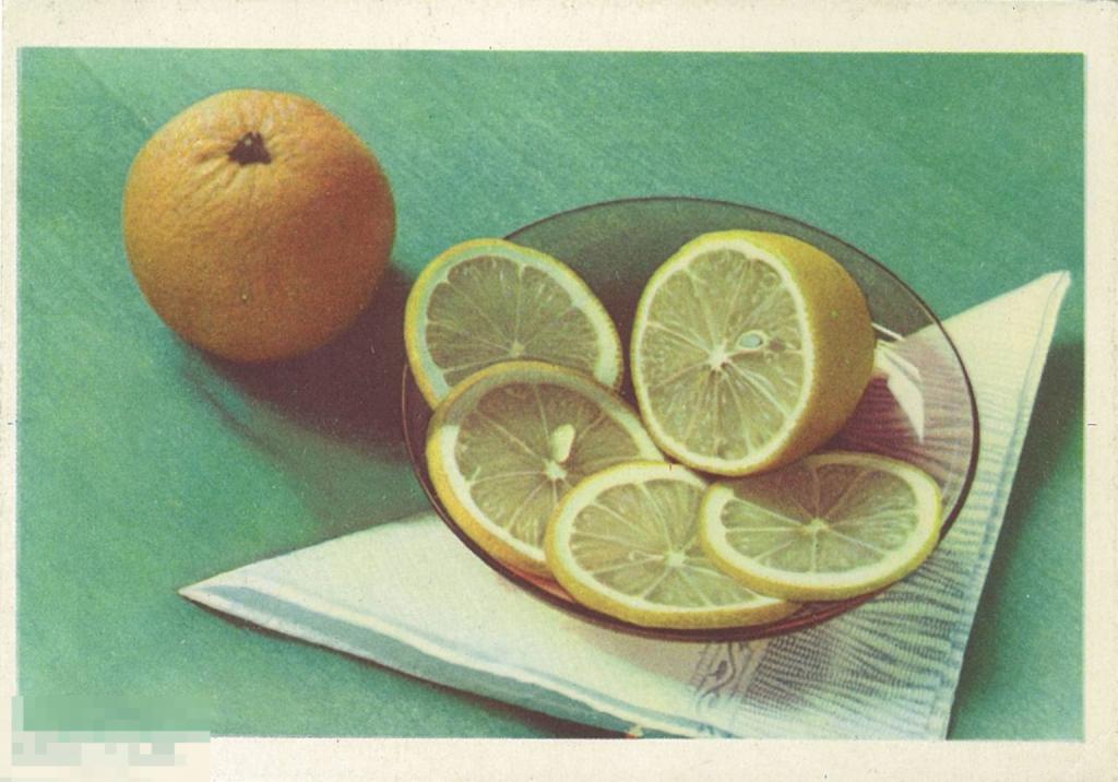 Л. Зиверт. Натюрморт. 1961 г.