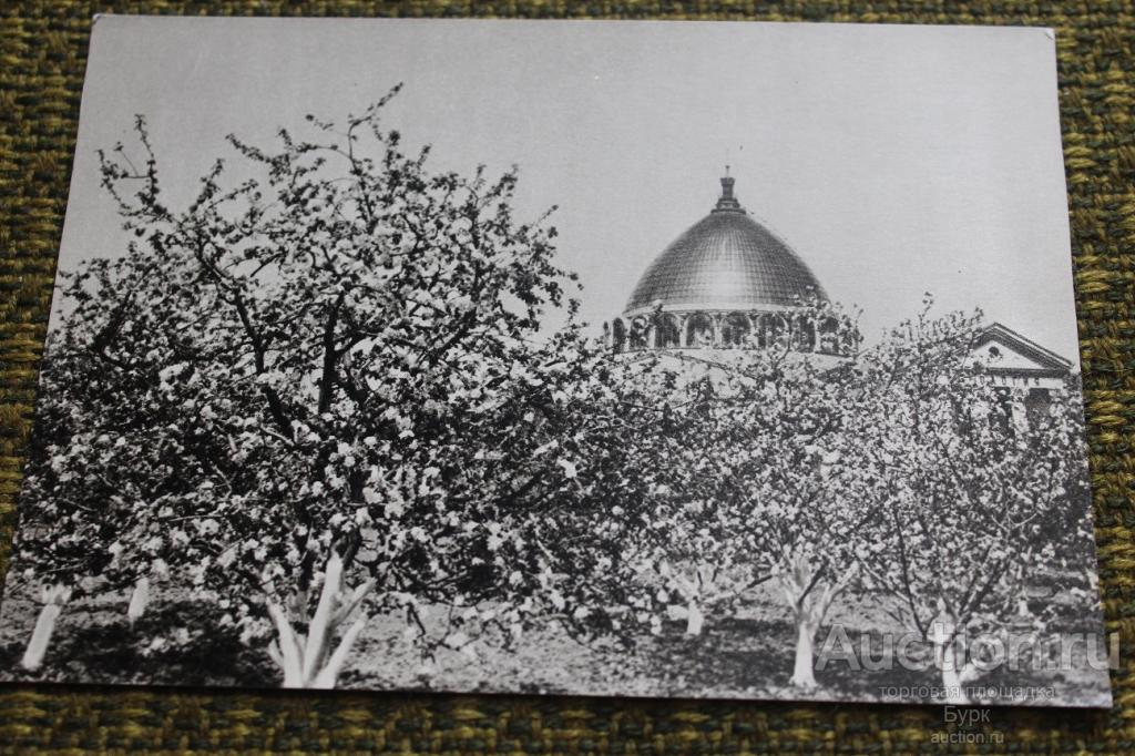 открытка ВДНХ ВСХВ Мичуринский сад 1965 г. чистая СХ Соцреализм