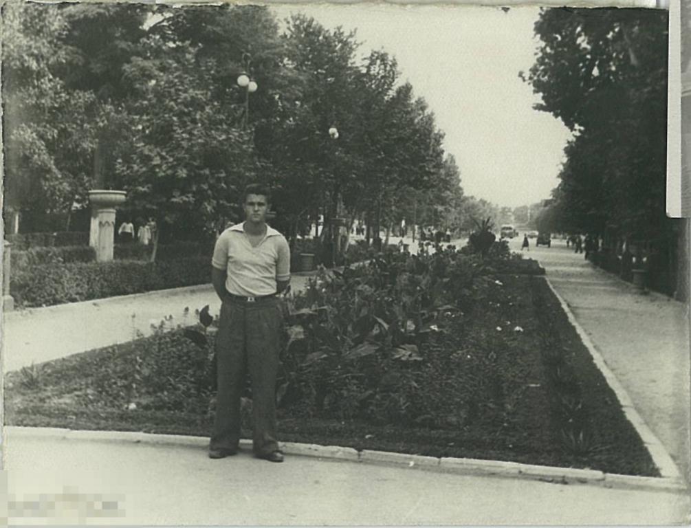 Мужчина стоит у цветника в парке. 1950-е гг.