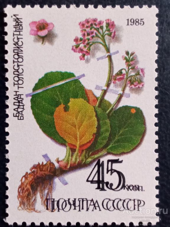 СССР 1985 г. № 5653**. Лекарственные растения, бадан толстолистный, ошибка, двойная печать.