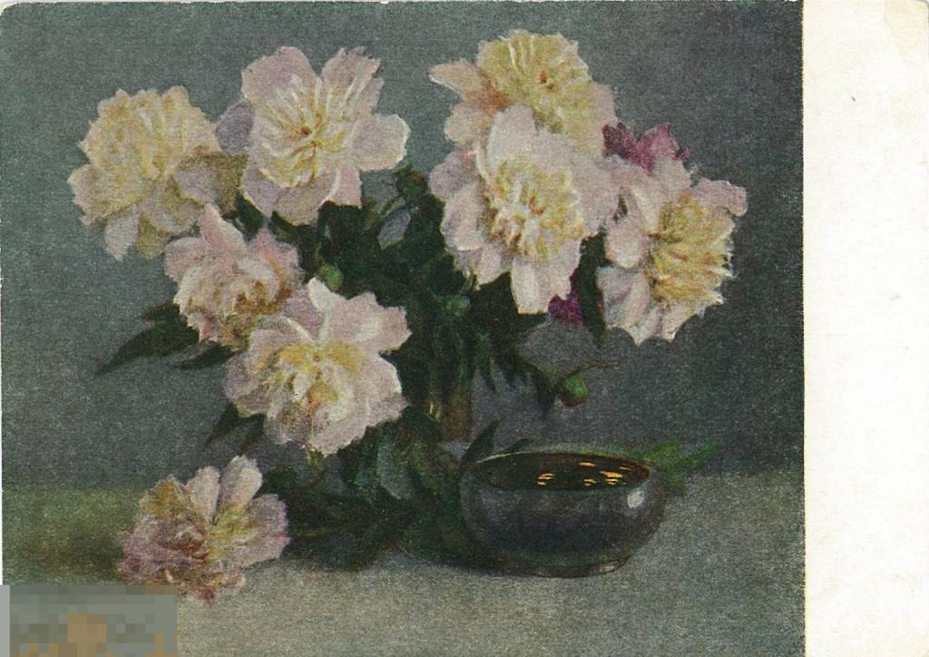 К.Е. Максимов. Пионы. 1956 г.