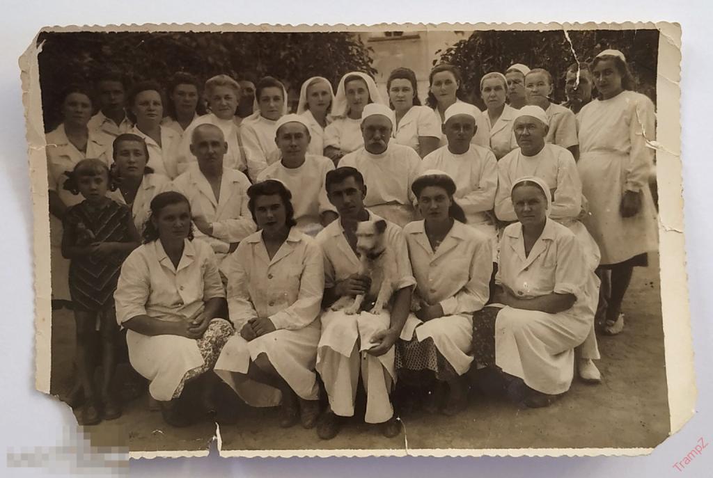 Фотография мужчины женщины в белых халатах, медики медицина. Базовый лазарет #115