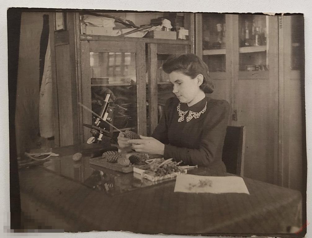 Фотография девушка биолог натуралист, микроскоп, шишки #118*