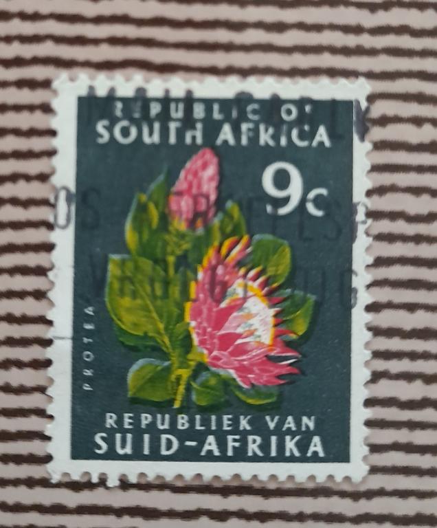 Южно-Африканская Республика  1964 год Флора Протея (Protea cynaroides), перерисованная Гаш