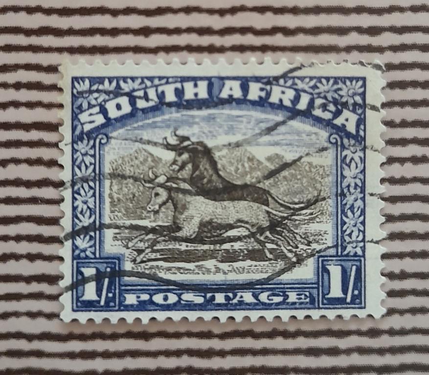 Южно-Африканская Республика 1927 год Фауна Антилопа гну  Гаш
