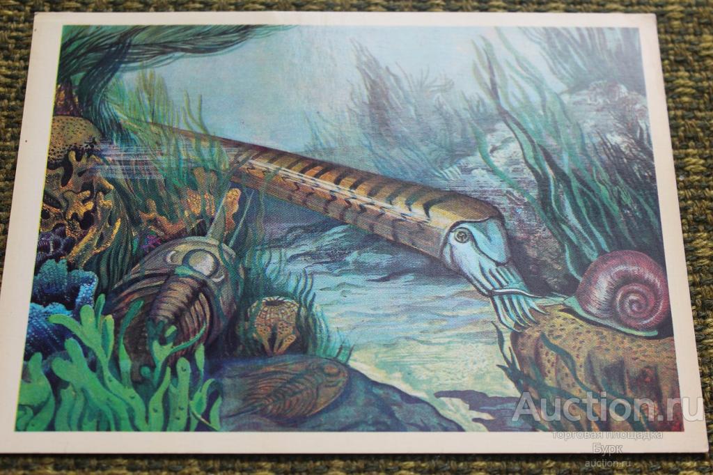 открытка Из глубины веков Чеверев 1979 г. чистая