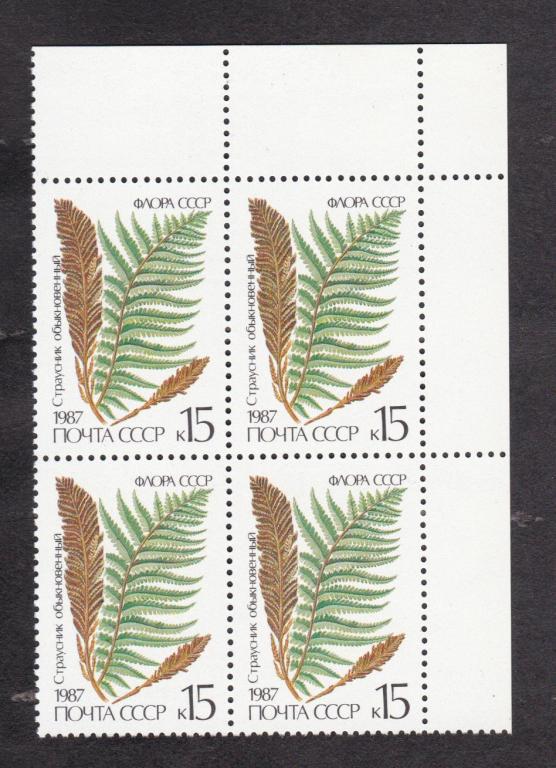 СССР 1987 Флора Папортники Страусник (406)