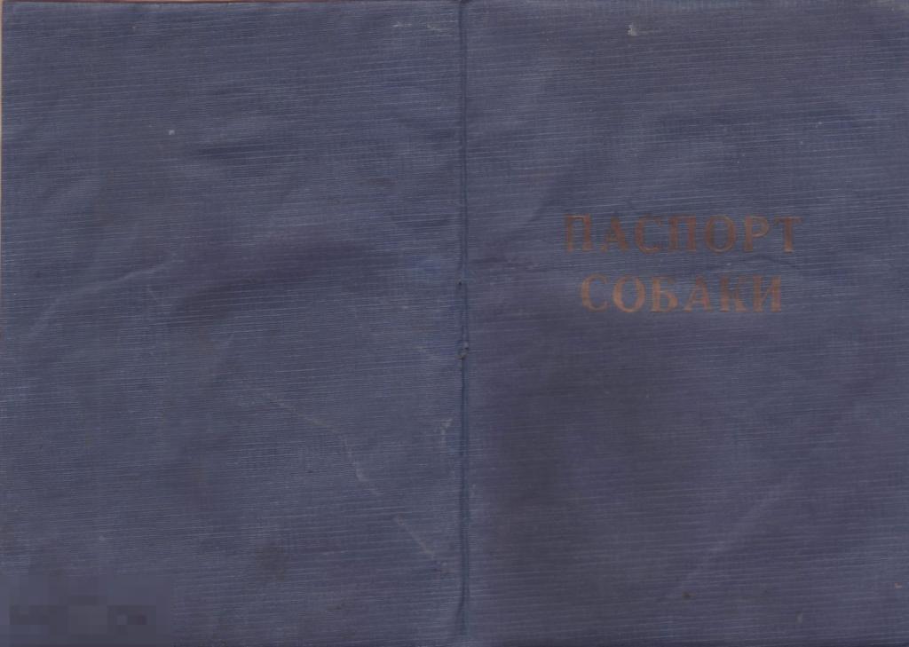 Паспорт собаки. Челябинск, 1974. Фокс-терьер Чарли