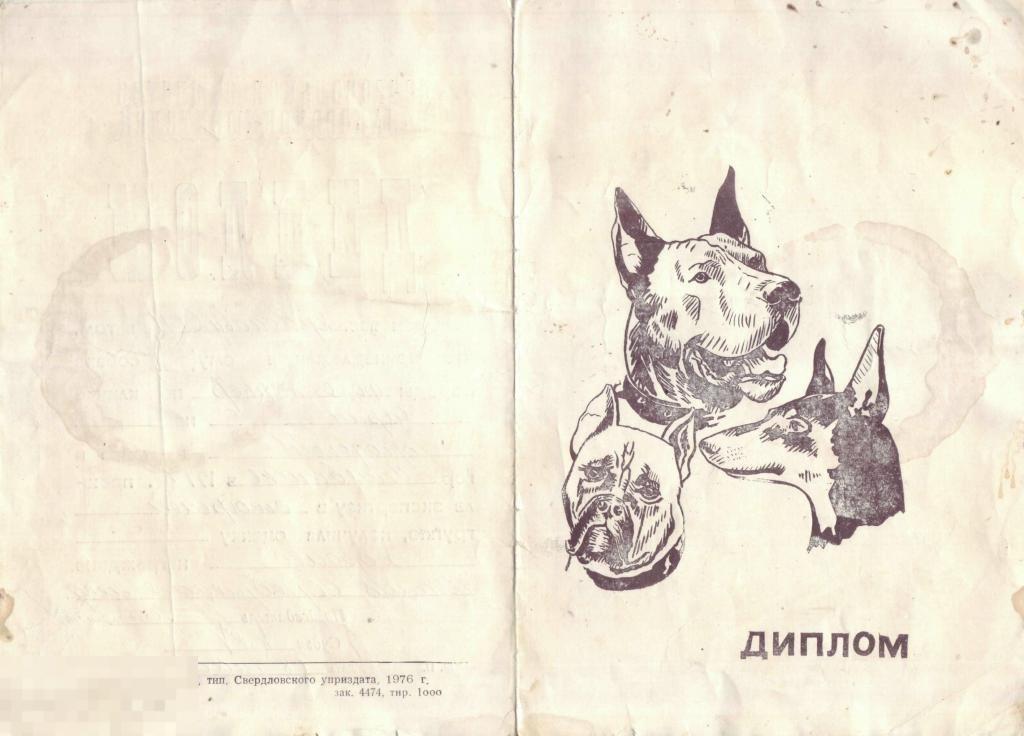 Диплом выставки собак. Фокс-терьер Челябинск 1977
