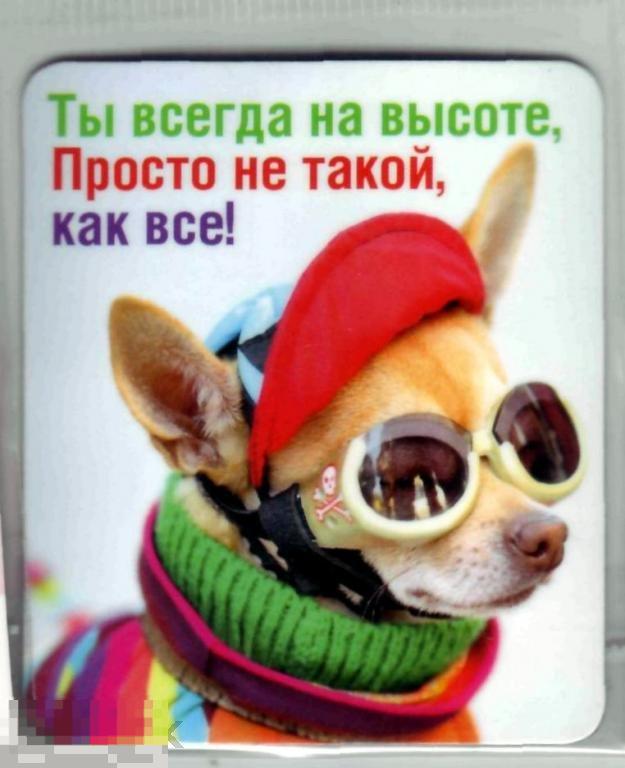 Магнит Ты всегда на высоте Просто не такой как все