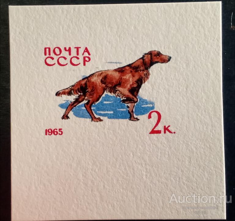 СССР 1965 г. № 3163, проба ** на картоне , Гознак. Собаки, ирландский сеттер.