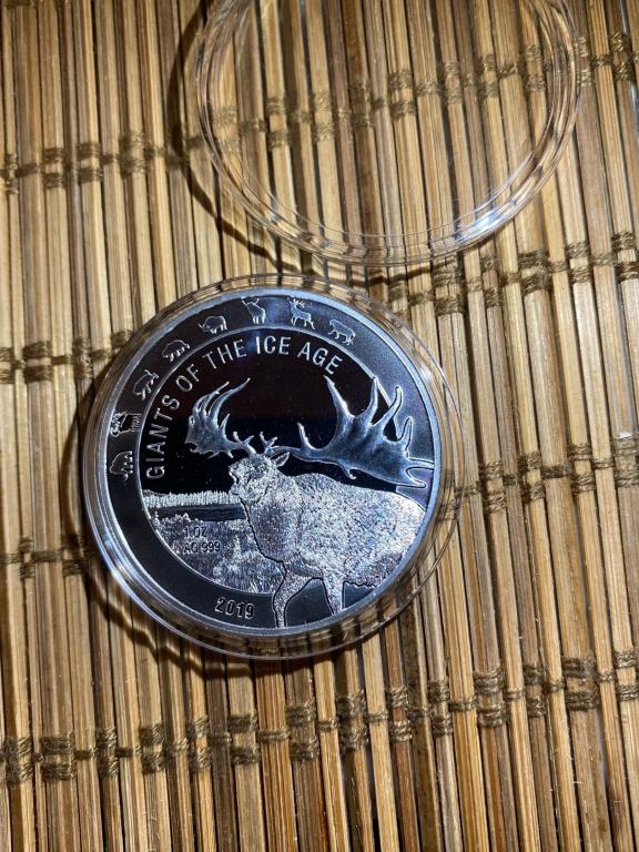 5 Седи Ледниковый период Большерогий Олень 2019 Гана Серебро