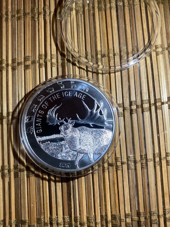 5 Седи Ледниковый период Большерогий Олень 2019 Гана Серебро