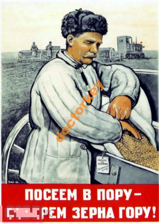 Посеем в пору - соберём зерна гору! Плакат СССР