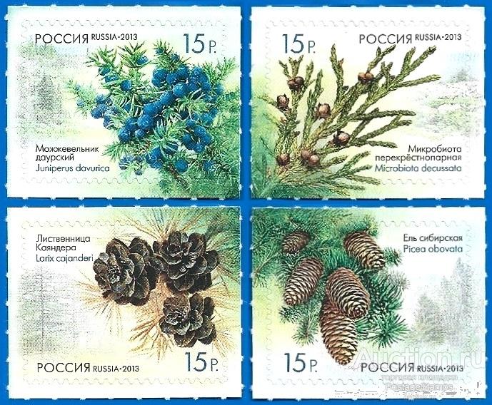 2013 Россия 1682-85. Шишки хвойных деревьев и кустарников** MNHOG (ЧБН)