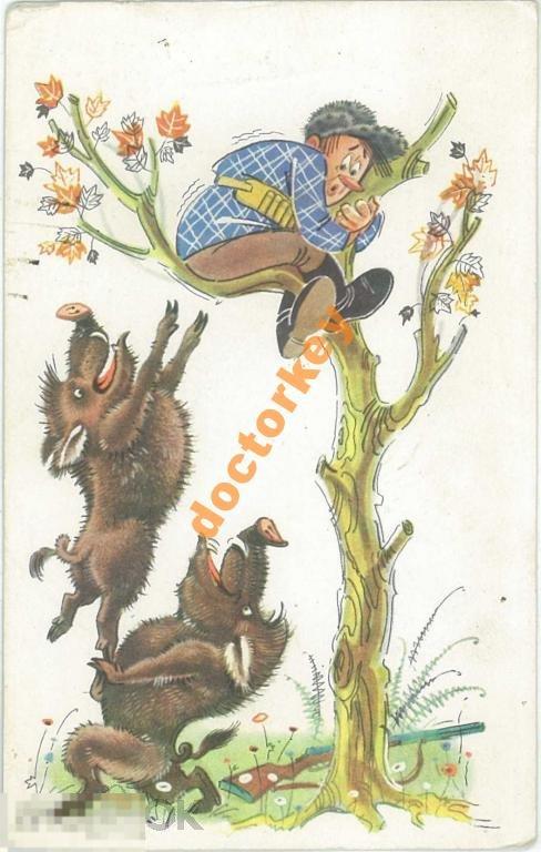 Орлов, Шварц. Жаль, что врач запретил мне есть свинину