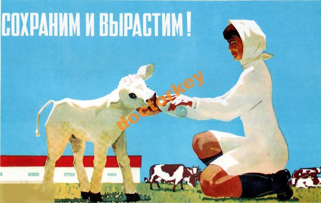 Сохраним и вырастим! Советский плакат