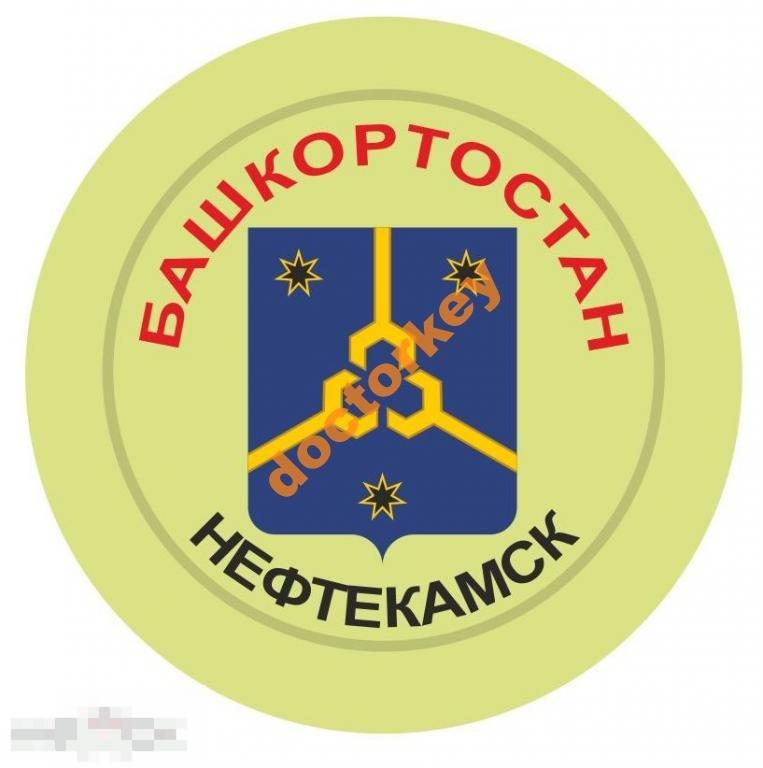 Нефтекамск. Герб. Круглый, закатной