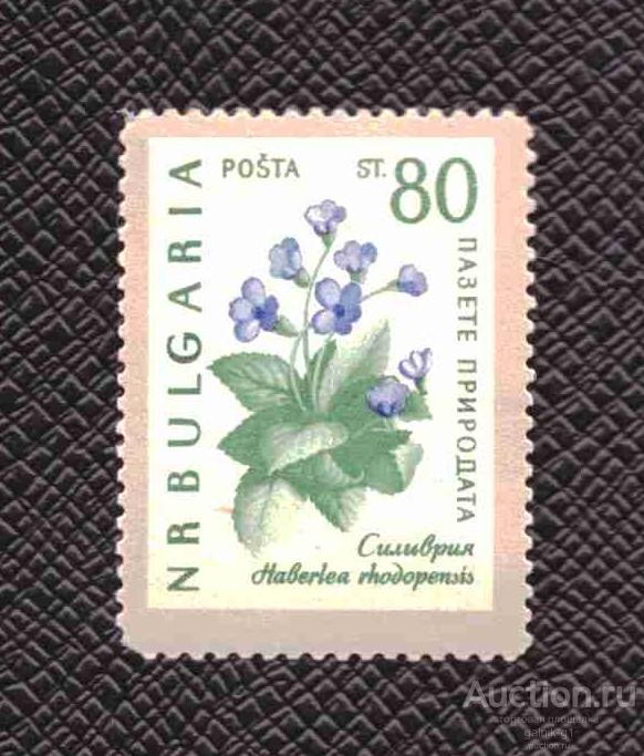Болгария  чистая     1960   год    флора    №   3467