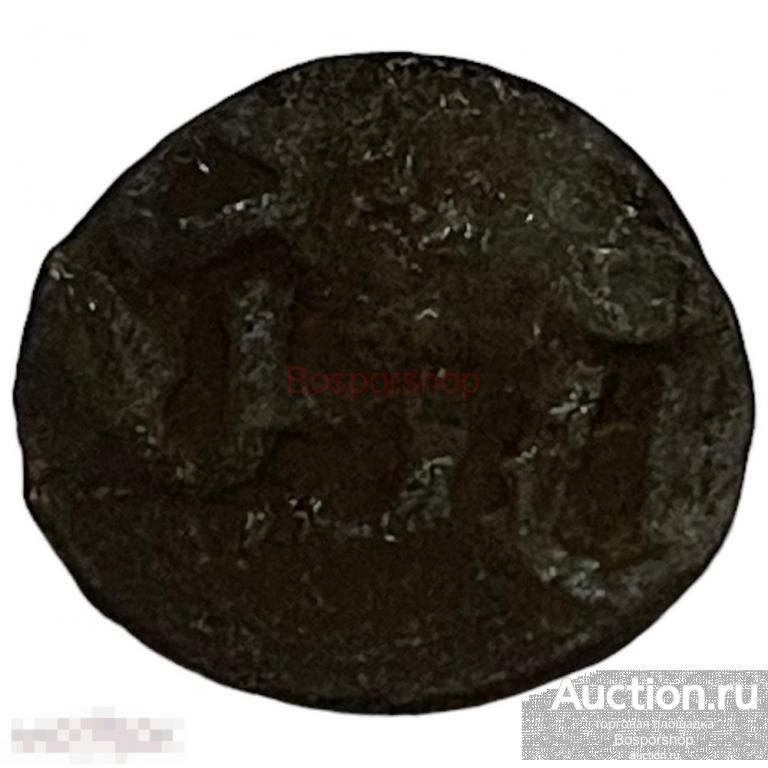 Золотая Орда (Джанибек) 1 пул 1342-1357 гг. (Цветок) (Лот №11)