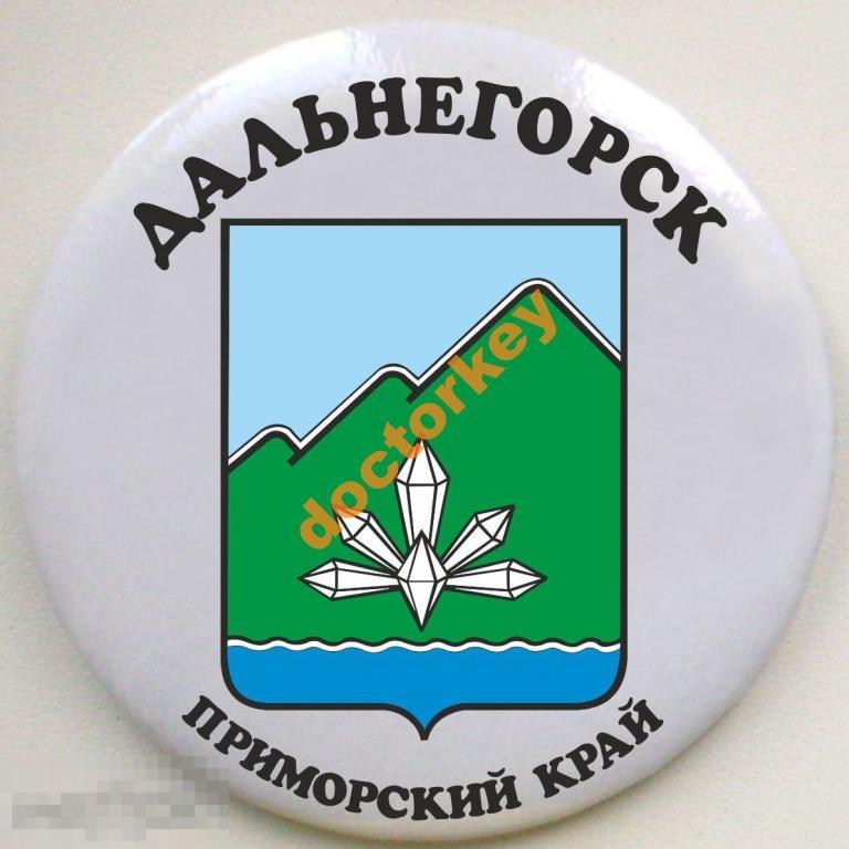 Приморский край. Дальнегорск. Герб. Закатной 