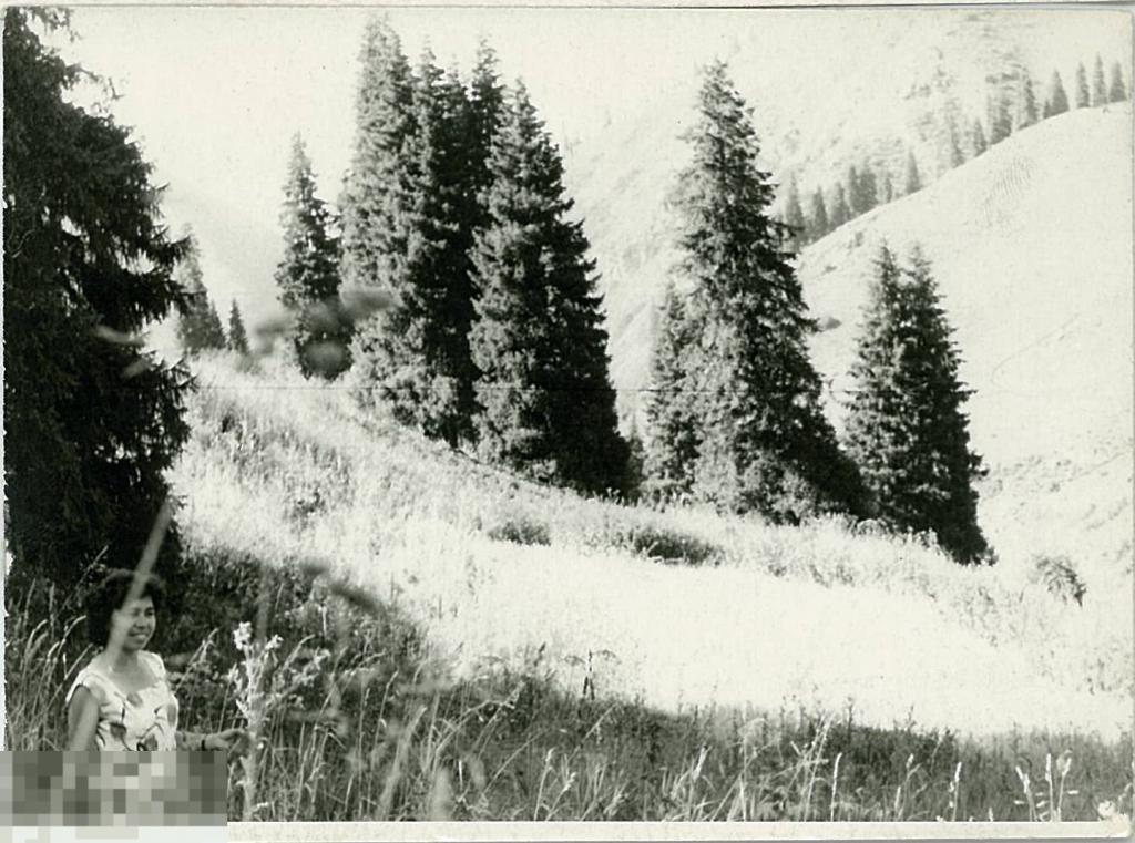 Женщина собирает цветы. 1960-е гг.