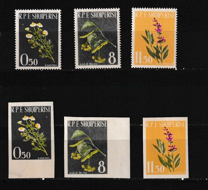 Албания 1962 Флора, цветы, с/з+б/з