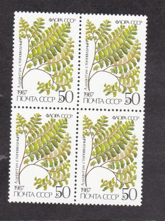 СССР 1987 Флора Папортники Адиантум перегиб по перф (464)