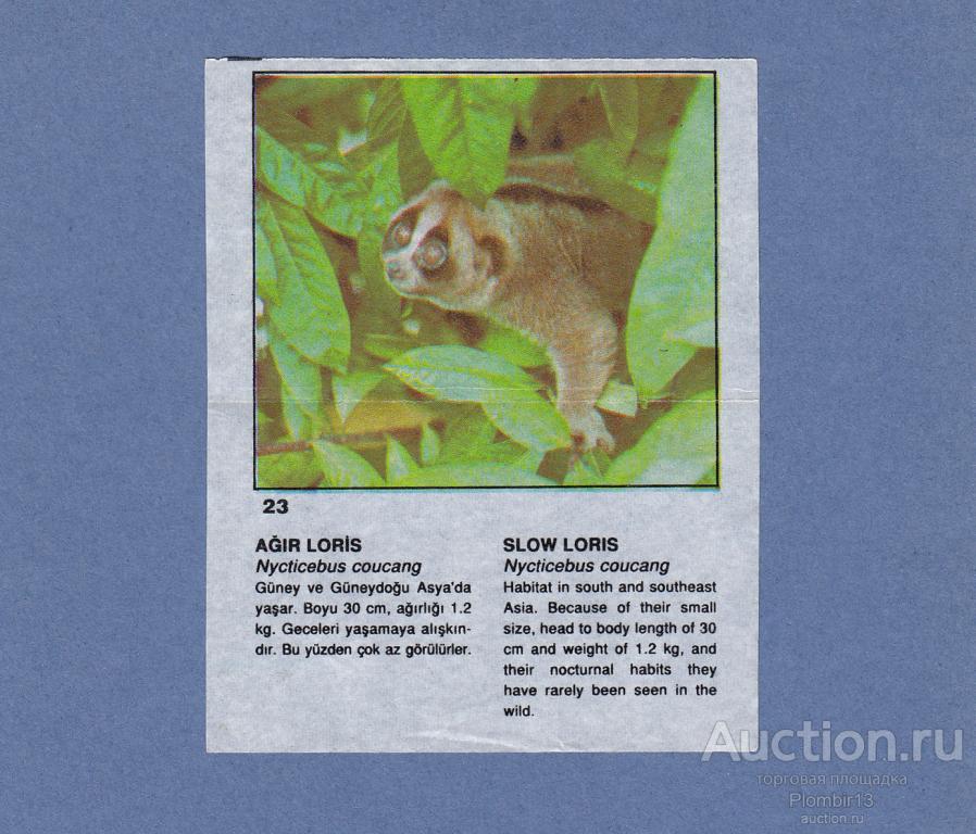 Вкладыш Cin Cin CinCin звери №23