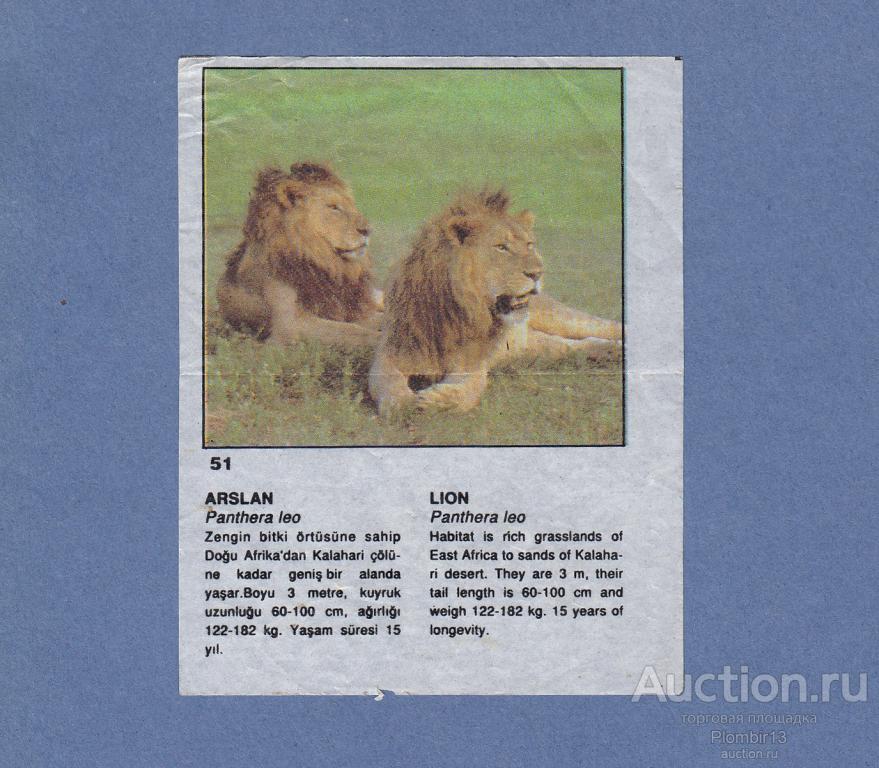 Вкладыш Cin Cin CinCin звери №51