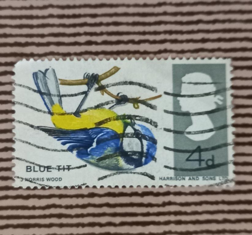 Великобритания  1966 Год Фауна Птицы  Синица Гаш