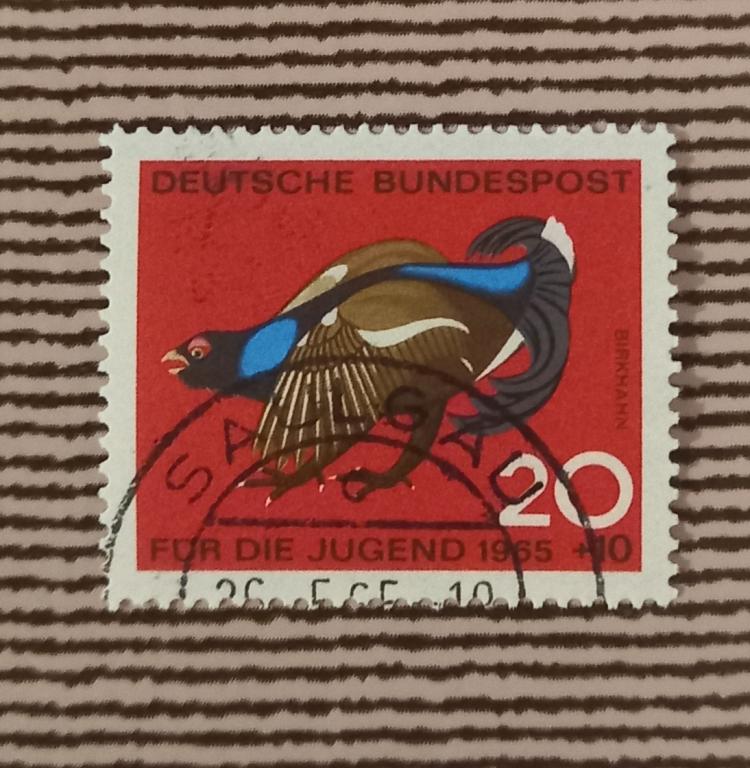 Германия ФРГ 1965 Год Фауна Птицы Тетерев Гаш