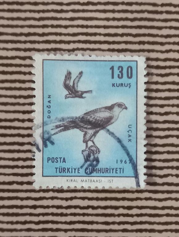Турция 1967 Год Фауна Птицы Балобан Гаш