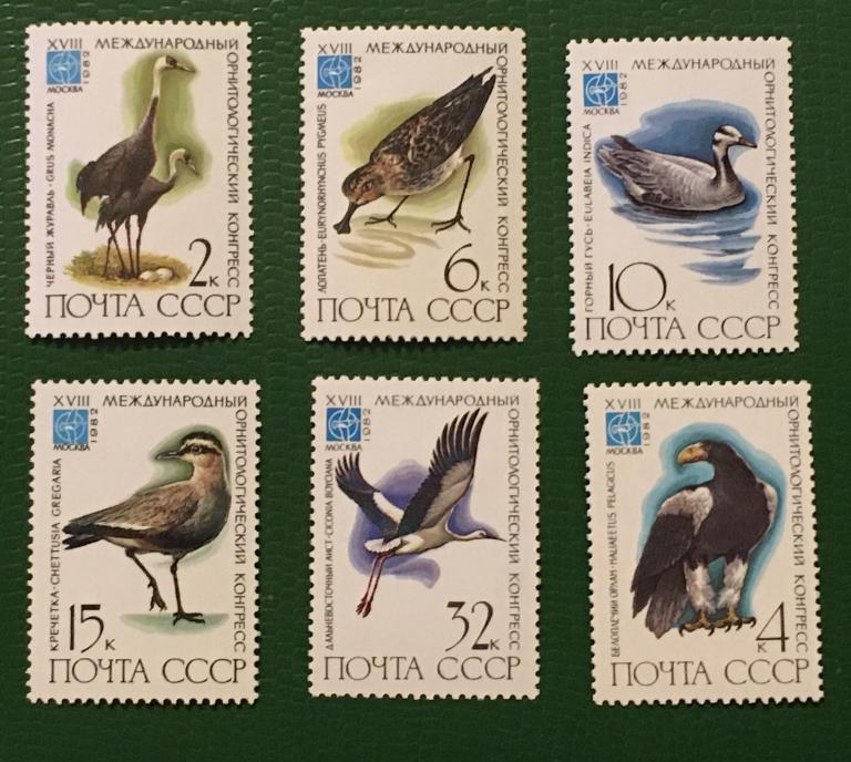 Марки 6 шт. Международный орнитологический конгресс. СССР 1982 г.