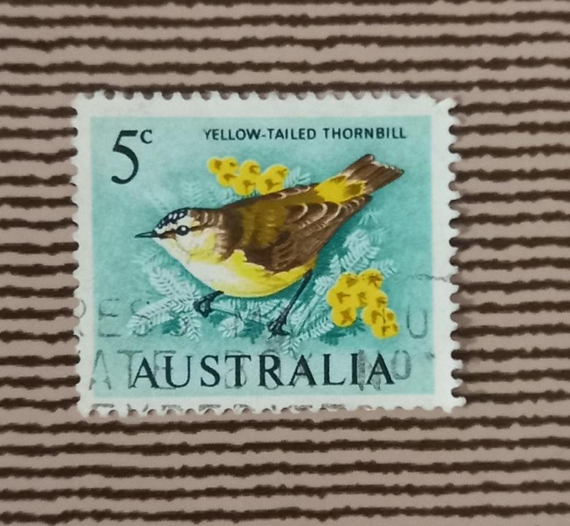 Австралия 1964 Год Фауна Птицы Желтохвостый Торнбилл Гаш