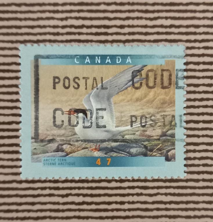 Канада 2001 Год Фауна Птицы  Арктическая крачка Гаш