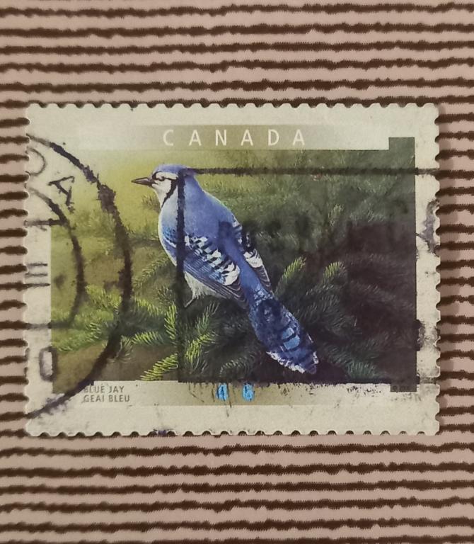Канада 1997 Год Фауна Птицы   Горная Синяя птица Гаш