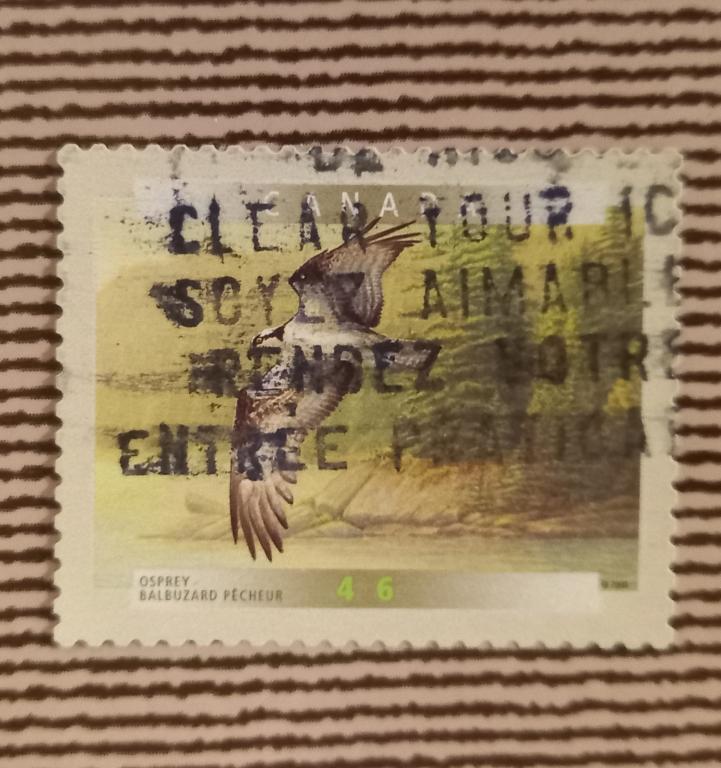 Канада 2000 Год Фауна Птицы  Скопа Гаш