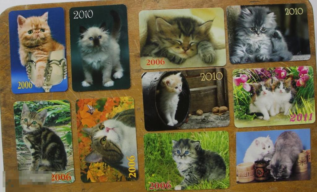 Набор 10 календариков с кошками, котами, котятами. 1982-2011 годы